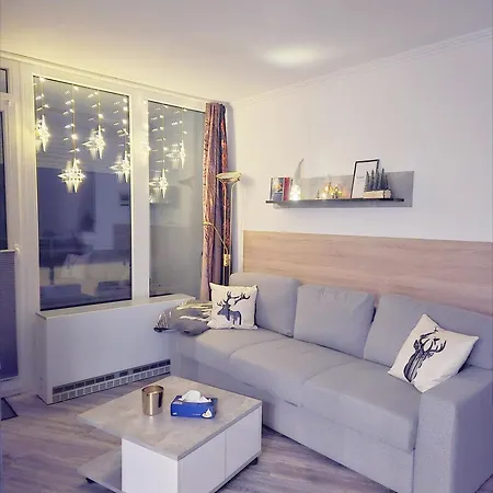 Lejlighed Activities & Relax Mit Privater Sauna- Ideal Fuer Bike, Wandern & Winterberg