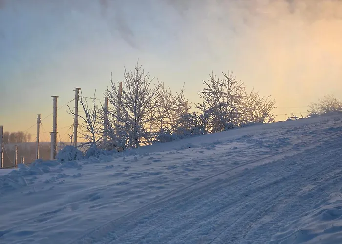 Activities & Relax Mit Privater Sauna Apartment